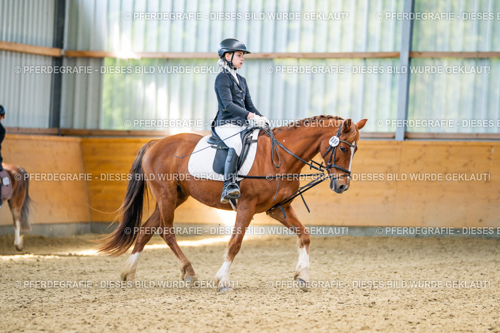 DSC02883 | Pferdegrafie