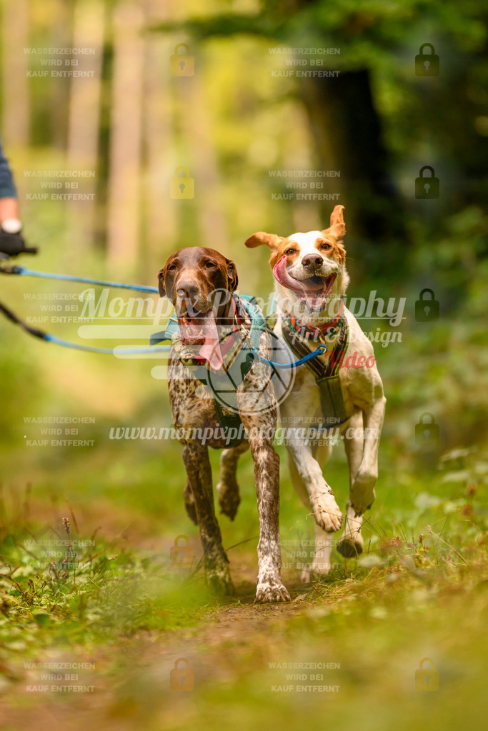 MompixPhotography_Yens2025_B2-151 | PayLife