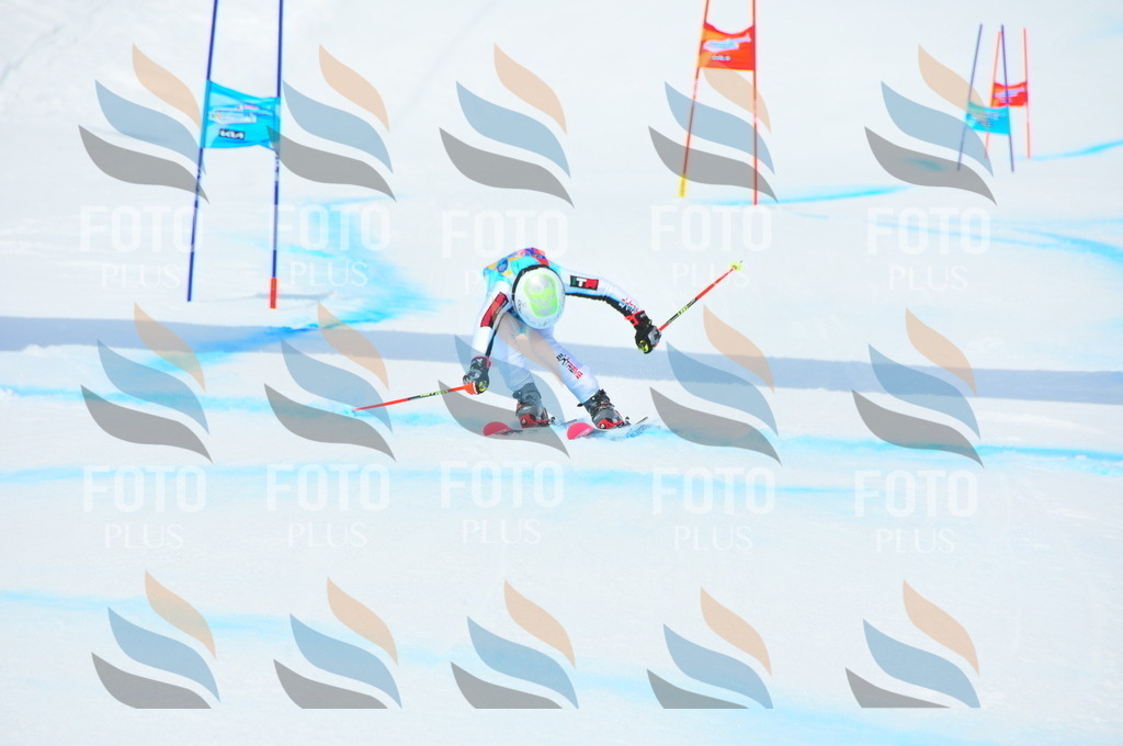 DSC_2736 | holidayphoto