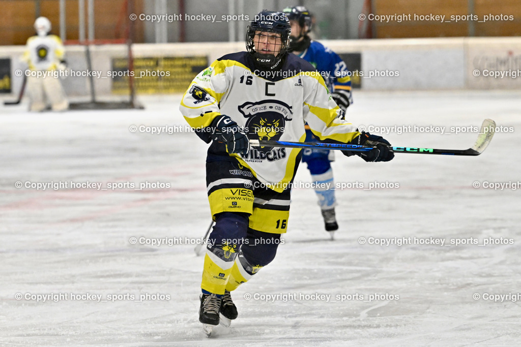 Wildcats Paternion vs. Lady Hawks  | #16 Anton Sandra WILDCATS PATERNION, Wildcats Paternion vs. Lady Hawks , Wildcats Paternion vs. Lady Hawks  am 27.01.2025 in Spittal an der Drau (Eissportzentrum Spittal), Austria, (Photo by Bernd Stefan)