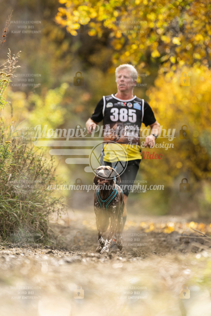 MompixPhotography_ICF_WC_2024_SA_Run_-344 | PayLife