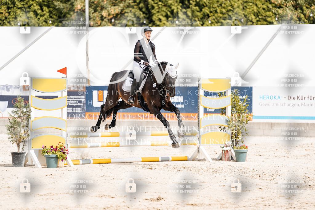 CK906651 | Turnierfotografie Pferdefotografie Trier Rheinland-Pfalz Pferdesport Reitsport Tierfotografie Sportfotografie Pferdevideo Pferdevideografie Equestrianvideography equestrianphotography  - Realisiert mit Pictrs.com
