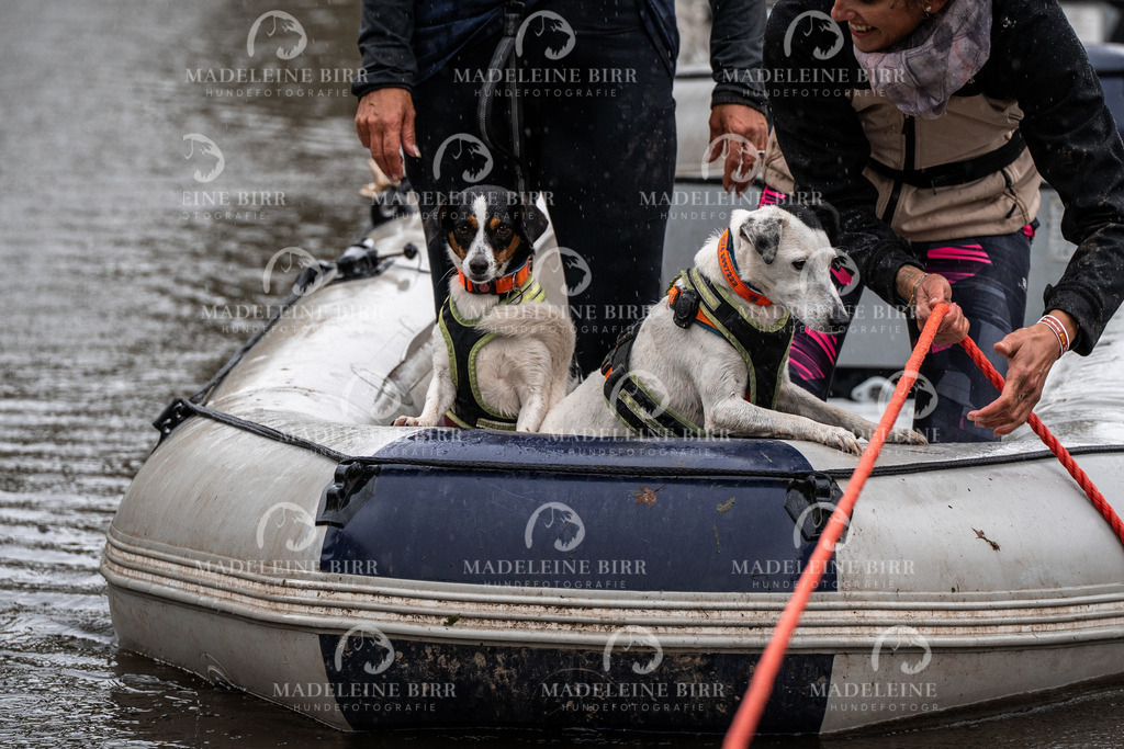 madeleinebirr-fotografie2025.campcanis.11-12Uhr-203 | hundefotografie-birr