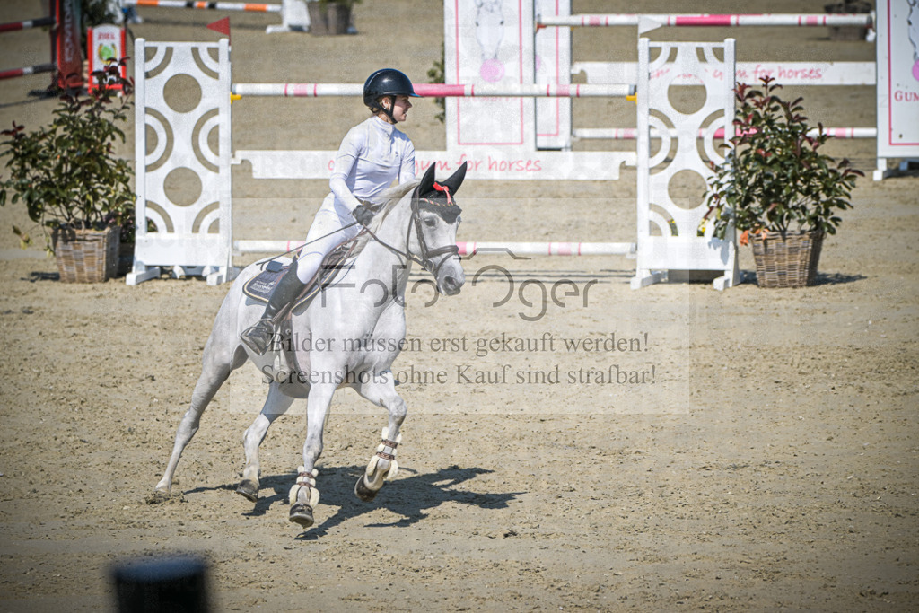 DOS_2304 | Entdecke hochwertige Reitturnierfotos von Foto Oger. Professionell, emotional und authentisch – jetzt Lieblingsmomente im Shop bestellen.Deutschlandweite Turnierfotografie. - Realisiert mit Pictrs.com