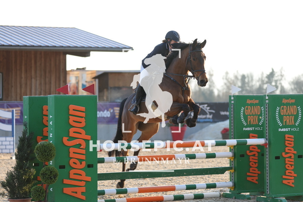 0P6A8772 | Willkommen bei Brunnmayr - Design & Fotografie – Ihrem Spezialisten für Reitturniere und Pferdeveranstaltungen in Oberösterreich, Salzburg und Bayern! Seit über 17 Jahren sind wir leidenschaftlich dabei.