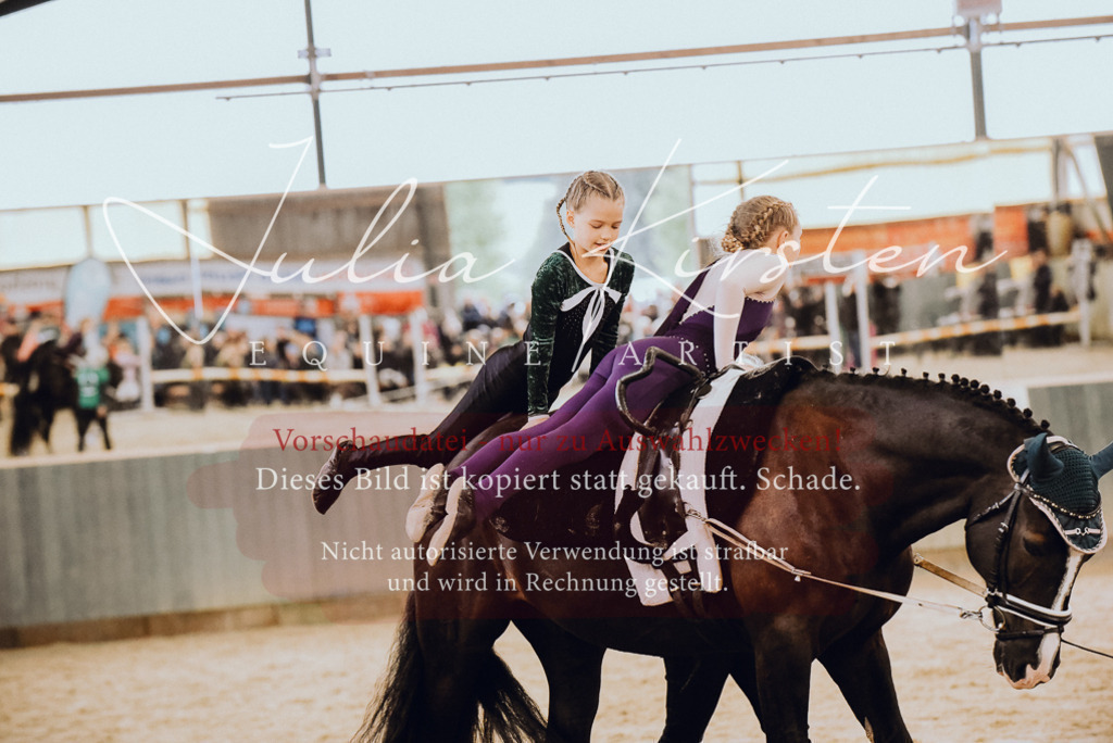 DSC_6874 | Pferde- und Turnierfotografie in Westsachsen. Pferdeportraits, Auftragszeichnungen und intuitive Kunst.