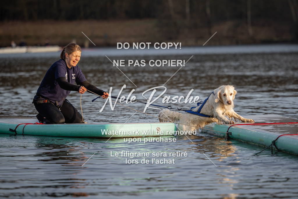 nelerasche_Hulsbeek_Sa1700-1730_316 | nelerasche