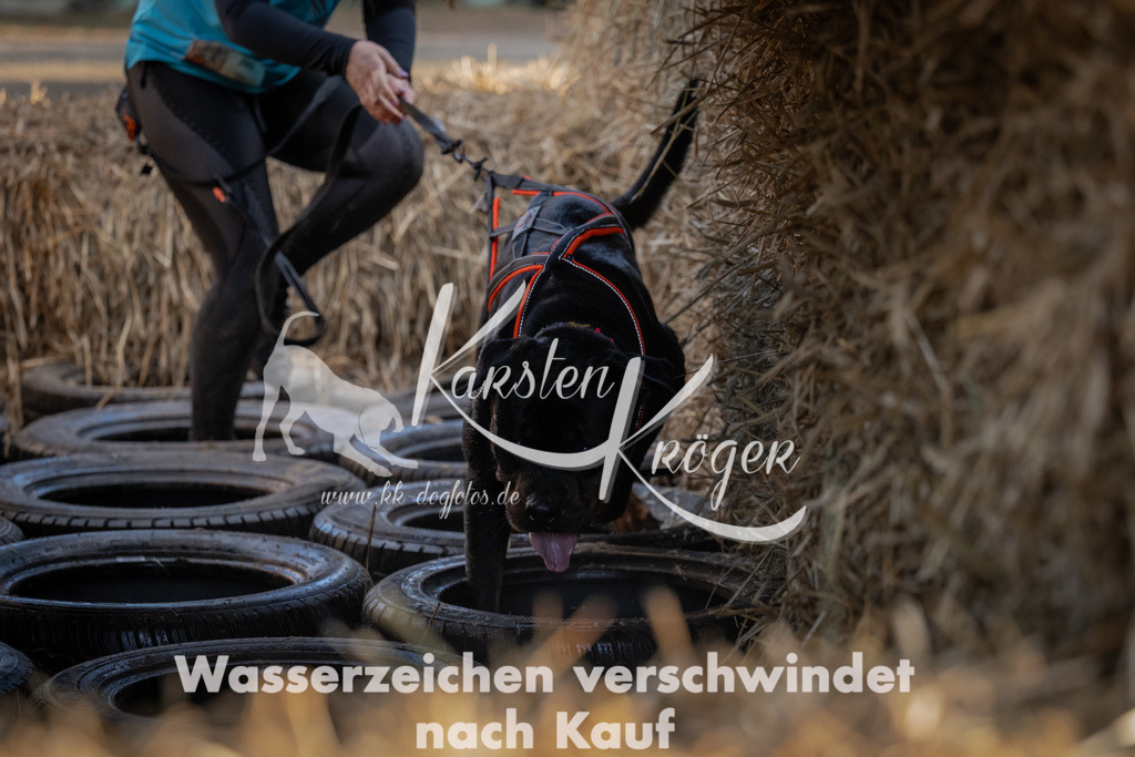 0949_ZZ94961 | kk-dogfotos