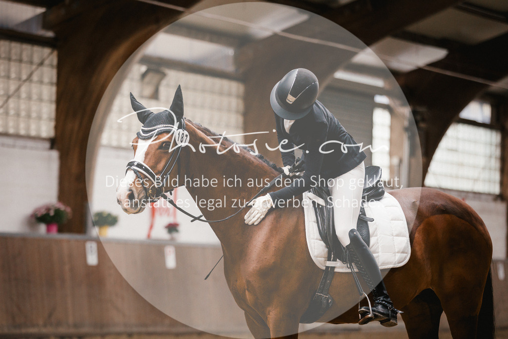 3I6A7527 | Stimmungsvolle Portraits und Reitsportfotografie im Ruhrgebiet und im Münsterland.

Pferdefotografie, Hundefotografie, Tierfotografie, Reportagen, Portraits von Tier und Mensch, Turnierfotografie in Bochum, Recklinghausen, Marl, Haltern am See, Dülmen.. - Realisiert mit Pictrs.com