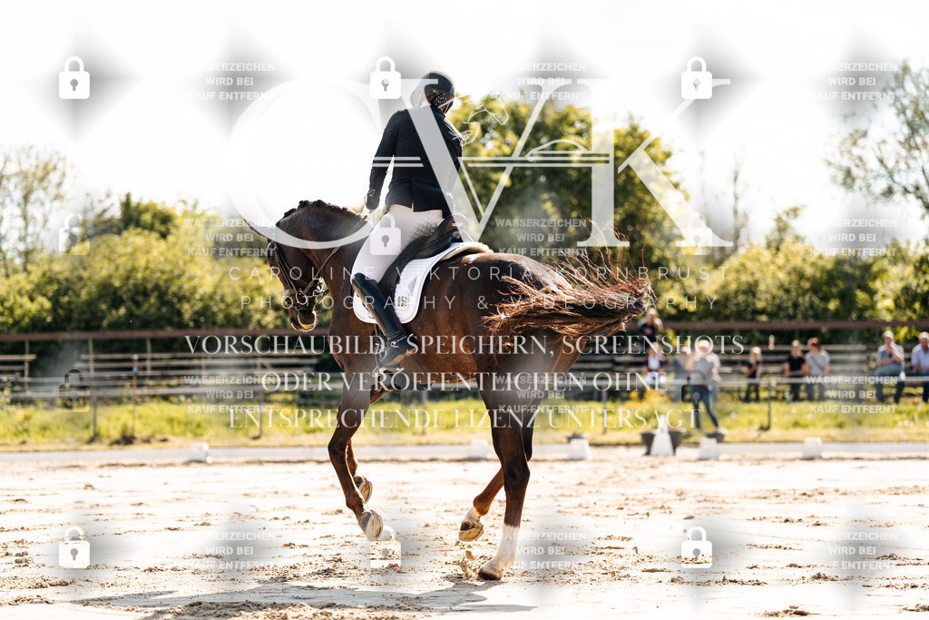 CK909188 | Turnierfotografie Pferdefotografie Trier Rheinland-Pfalz Pferdesport Reitsport Tierfotografie Sportfotografie Pferdevideo Pferdevideografie Equestrianvideography equestrianphotography  - Realisiert mit Pictrs.com