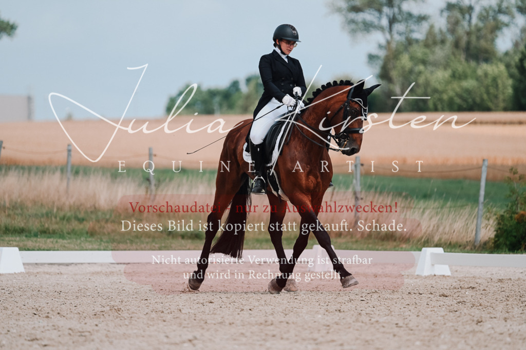 DSC_4358 | Pferde- und Turnierfotografie in Westsachsen. Pferdeportraits, Auftragszeichnungen und intuitive Kunst.