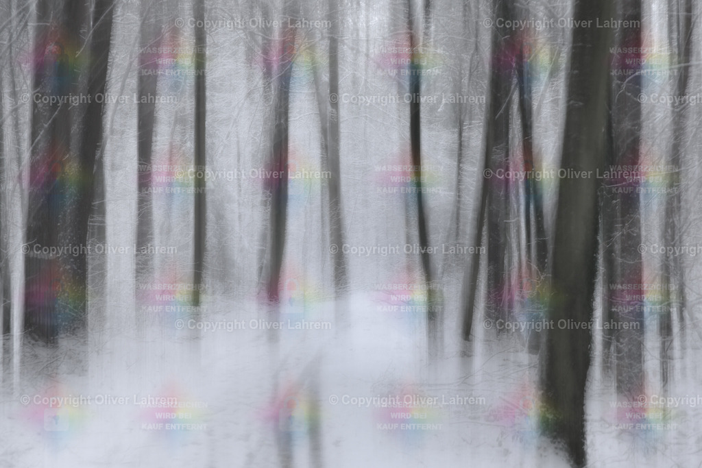 Heimatwald Monochromie | Blick in den winterlichen Wald von Klein Welzheim / Seligenstadt.Die Bilder wurden mit einer Fotografische Technik aufgenommen und haben dadurch ein spezielle Ästhetik.