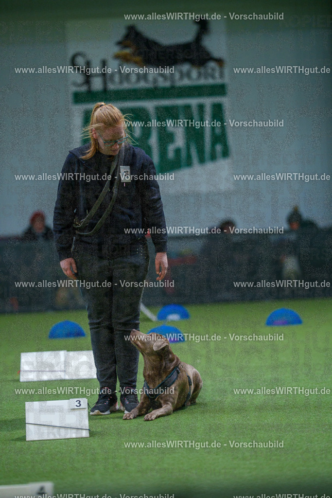 7R501291 | Professionelle Tierfotografie in Mönchengladbach von Daniel Wirth (allesWIRTHgut). Liebevolle & natürliche Bilder von Hunden & Katzen für unvergessliche Erinnerungen.