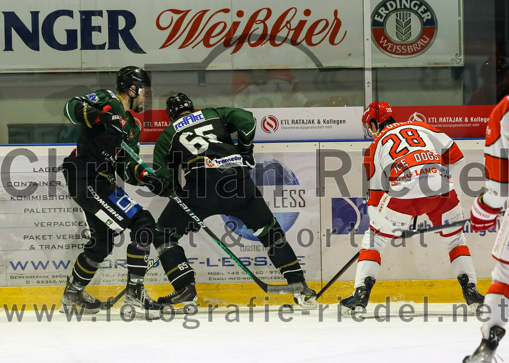 2022-12-02_128_TSV_Erding_gegen_EV_Pegnitz | Erding, Deutschland, 02.12.2022:
Eishockey, Bayernliga 2022 / 2023, 17. Spieltag, TSV Erding gegen EV Pegnitz, Endergebnis: 9:3

Florian Zimmermann (Erding Gladiators, #5), Thomas Plihal (Erding Gladiators, #65), Ondrej Holomek (EV Pegnitz, #28)

Foto: Christian Riedel / fotografie-riedel.net