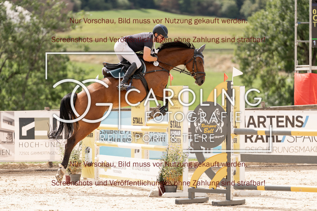 DSC06675 | Springturnier_Teamchallege_Talheim_2026, Christian_Weber, Tassy_de_la_Reselle