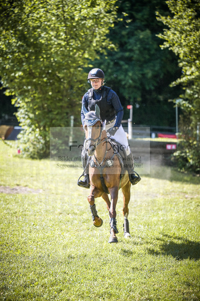 DOS_1502 | Entdecke hochwertige Reitturnierfotos von Foto Oger. Professionell, emotional und authentisch – jetzt Lieblingsmomente im Shop bestellen.Deutschlandweite Turnierfotografie. - Realisiert mit Pictrs.com