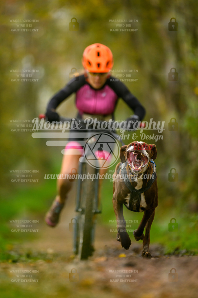 MompixPhotography_20TSB_E6_DS1-71 | PayLife