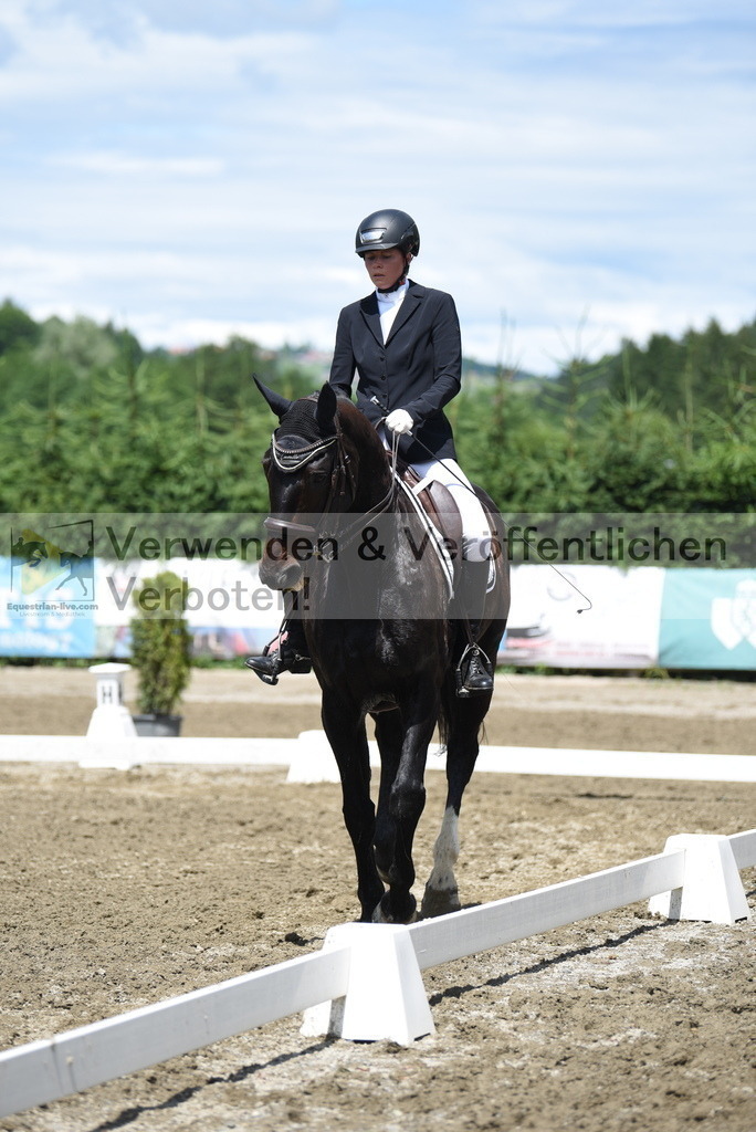 DSC_1170 | equestrian-live-com