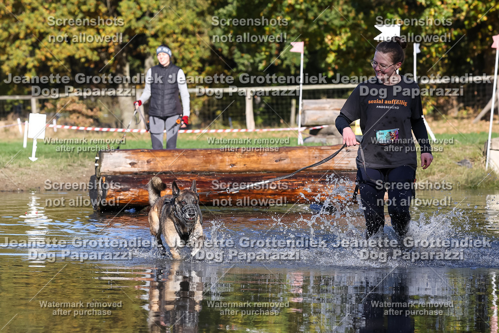 Dog Paparazzi - Strongdog 10-25-8886 | Dog Paparazzi Jeanette Grottendiek Fotografie & Videografie - Realisiert mit Pictrs.com