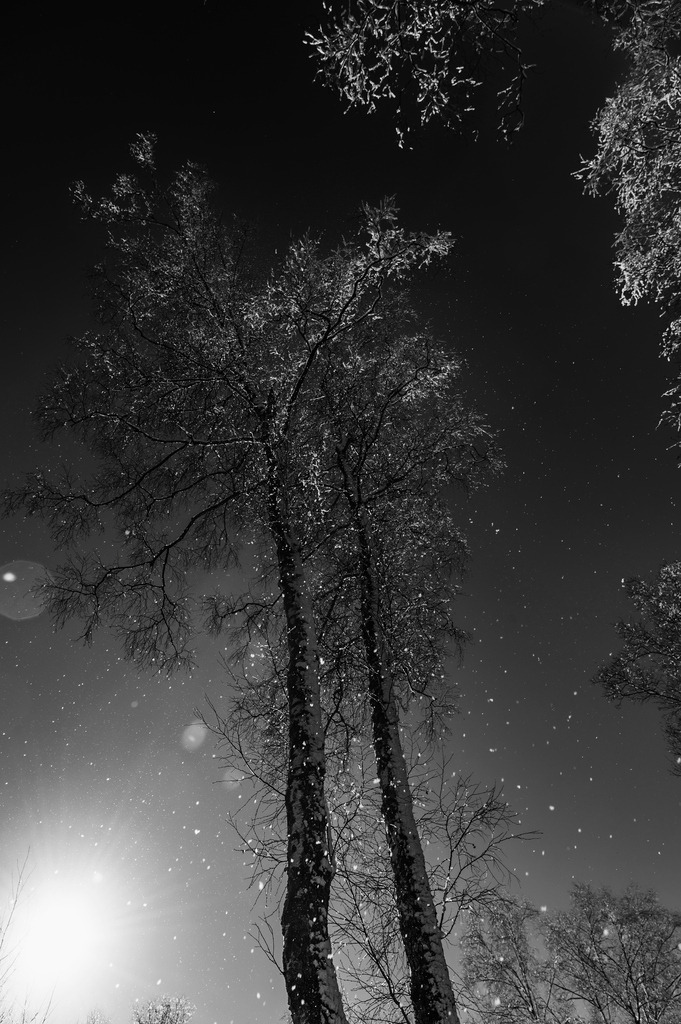 2023_03_11_MCP7363 sw | Hochwertig gedruckte Fotografien für die Wand, als Kalender und zum Verschenken. Hamburg & Norddeutschland und überall wo ich mit der Kamera unterwegs war.