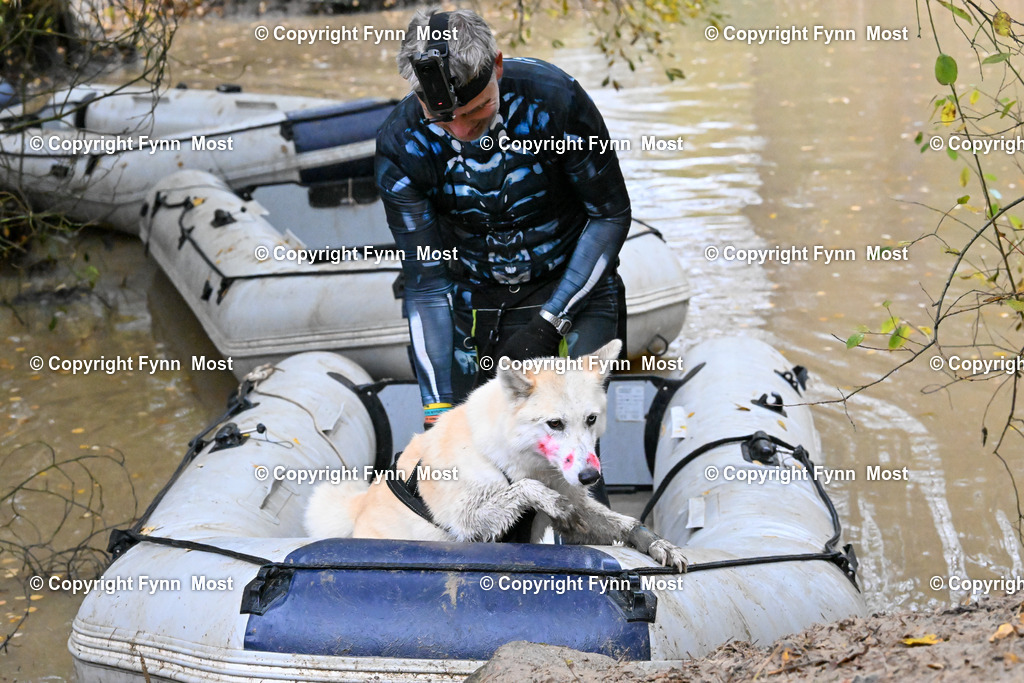 DSC_6828 | Hallo und herzlich Willkommen auf meiner Shop-Seite Fynn Most.

Ich wünsche Dir viel Spaß beim stöbern durch die Bilder, wenn Du Fragen hast oder Bilder vermisst, kannst du mir gerne eine Nachricht schreiben. - Realisiert mit Pictrs.com