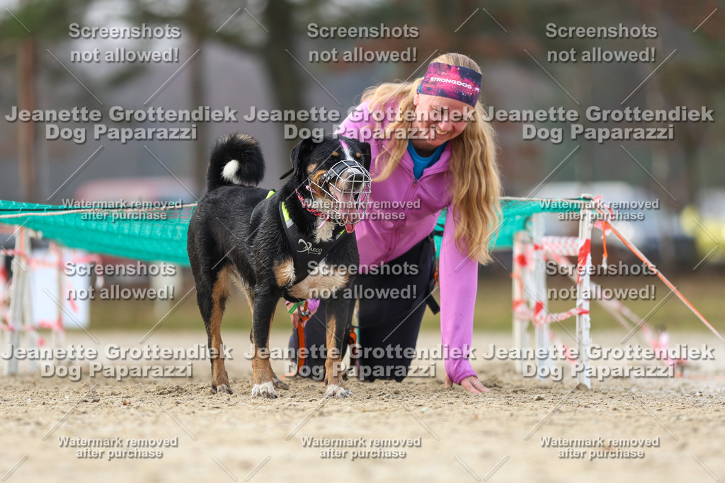 Dog Paparazzi - Strongdog North Mrz26-4300 | Dog Paparazzi Jeanette Grottendiek Fotografie & Videografie - Realisiert mit Pictrs.com