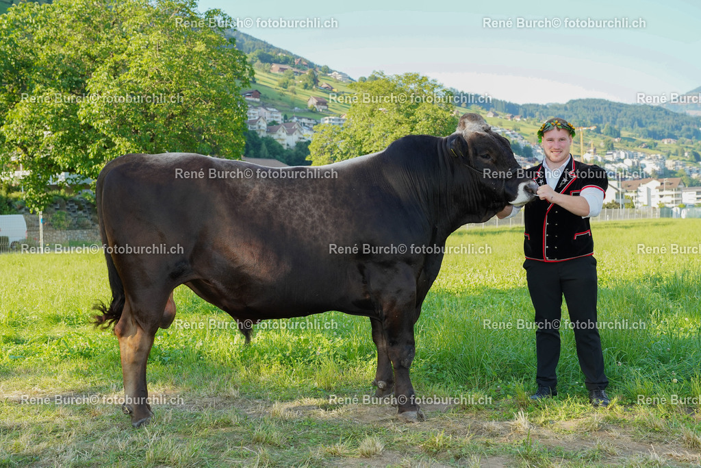 20220703-DSC09782 | René Burch leidenschaftlicher Fotograf aus Kerns in Obwalden.  Hier finden sie Sport, Landschaft und Natur Fotografie.
 - Realisiert mit Pictrs.com