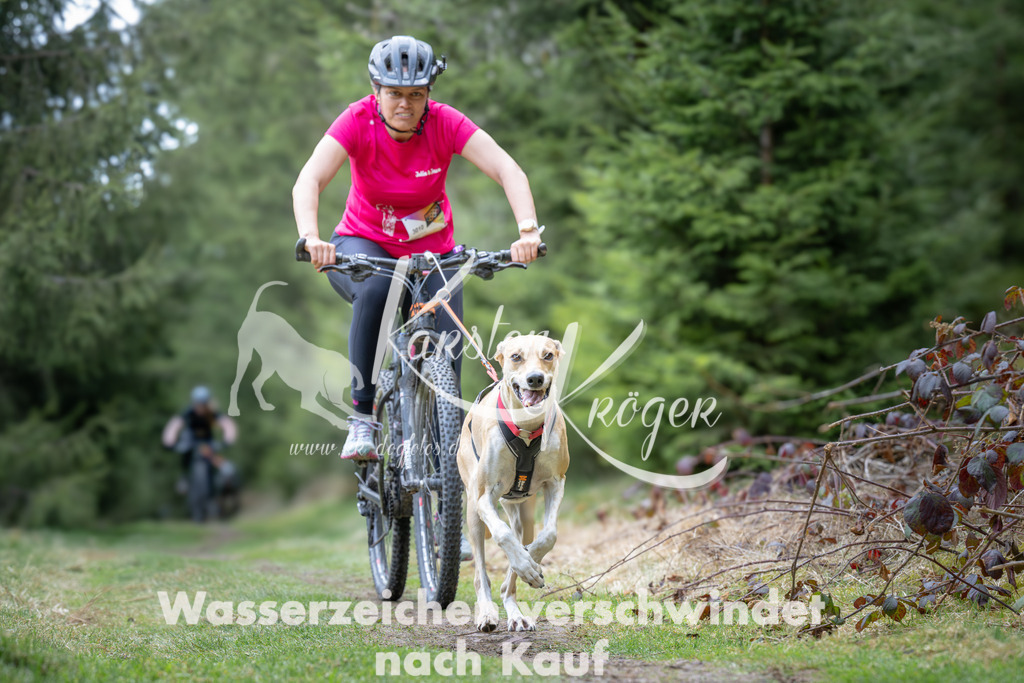 1310_ZZ93807 | kk-dogfotos
