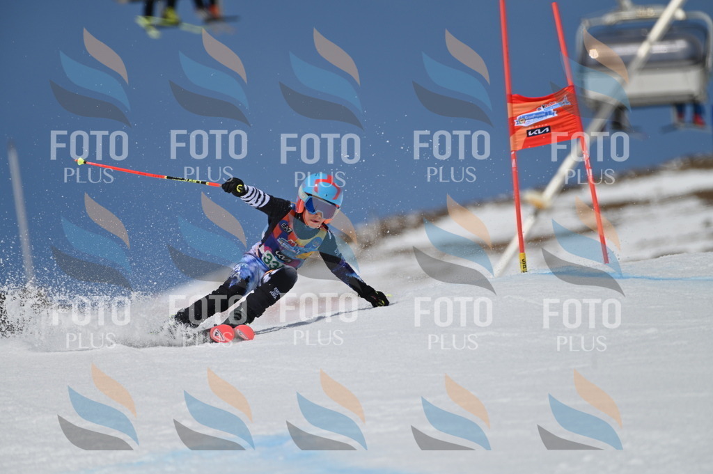 BGV_6625 | holidayphoto