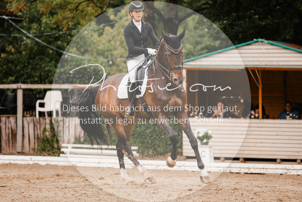3I6A7833 | Stimmungsvolle Portraits und Reitsportfotografie im Ruhrgebiet und im Münsterland.

Pferdefotografie, Hundefotografie, Tierfotografie, Reportagen, Portraits von Tier und Mensch, Turnierfotografie in Bochum, Recklinghausen, Marl, Haltern am See, Dülmen.. - Realisiert mit Pictrs.com