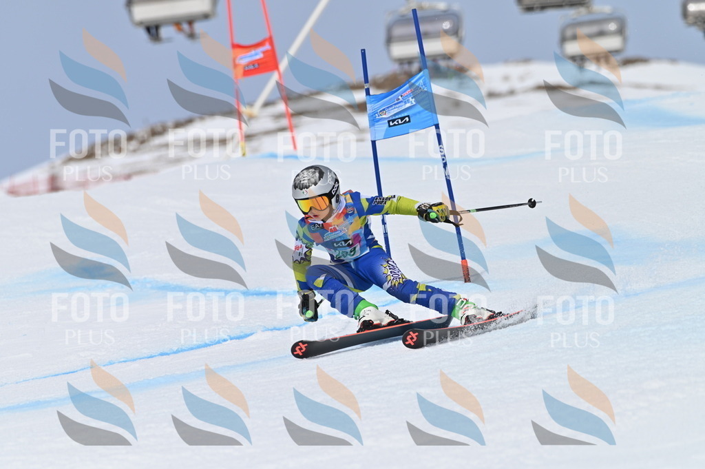 BGV_4735 | holidayphoto