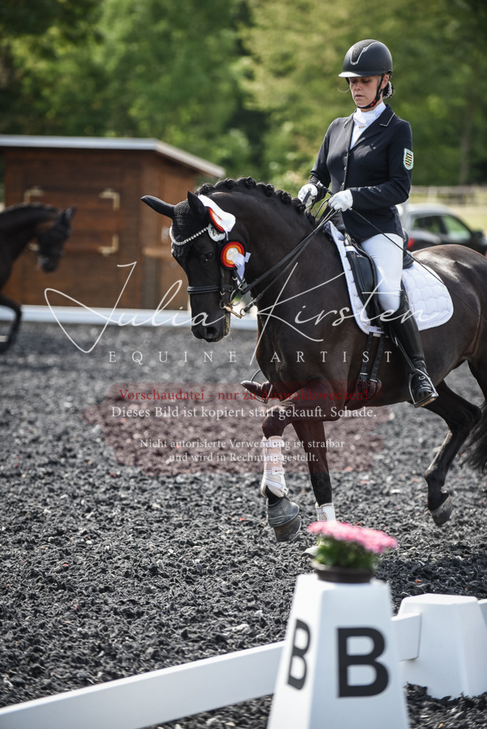 DSC_5193 | Pferde- und Turnierfotografie in Westsachsen. Pferdeportraits, Auftragszeichnungen und intuitive Kunst.