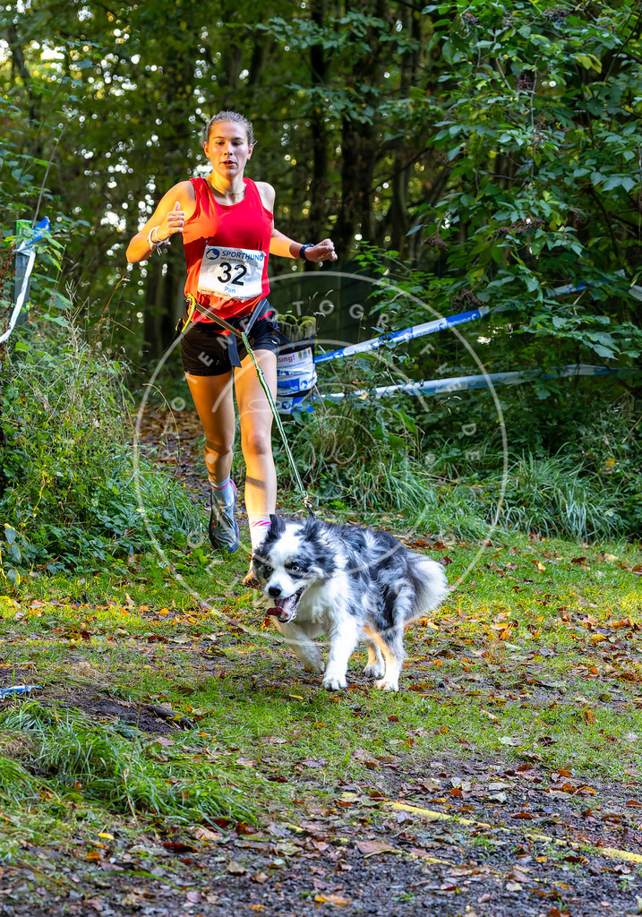Pfotenfotografie_DV3A6687 | Hundefotografie, Tierfotograf, Pfotenfotografie, Fotoshooting Hund, Hunde Portrait, Hundesport, Hundeportraits, Heideshooting, Hunde, Sportfotograf, Hundefotograf, Turnierhundsport, THS,  - Realisiert mit Pictrs.com