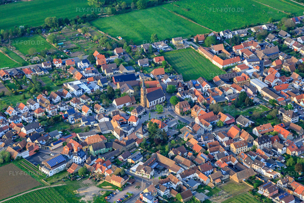 Luftbild: Ortsmitte mit Kath. Kirche St. Martin in Ruppertsberg im Bundesland Rheinland-Pfalz in Deutschland. – Foto: IMG_106726.jpg vom 21.04.2018 durch Werner Riehm/FLY-FOTO.de – Auflösung des Originals: 5472 x 3648 px – St. Martin - Ruppertsberg | Pfarrei Deidesheim