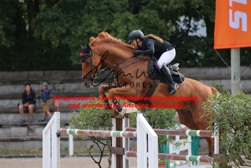 IMG_8720 | lmwpictures - Realisiert mit Pictrs.com