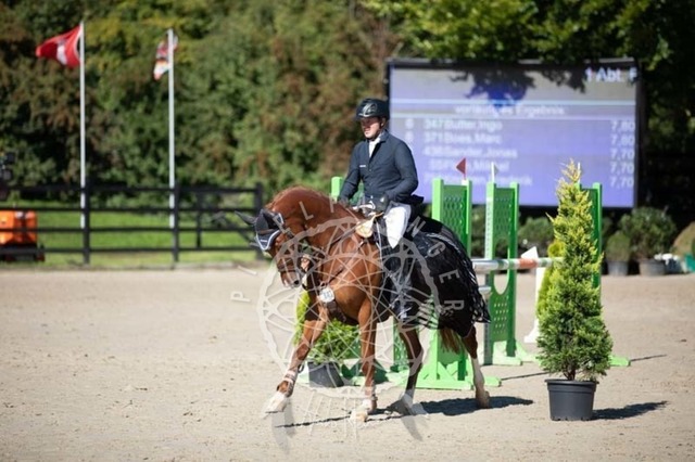 2B4A0561 | pixelfaenger - Realisiert mit Pictrs.com