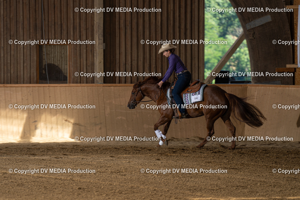 DSC00018 | dv-media-shop - Realisiert mit Pictrs.com