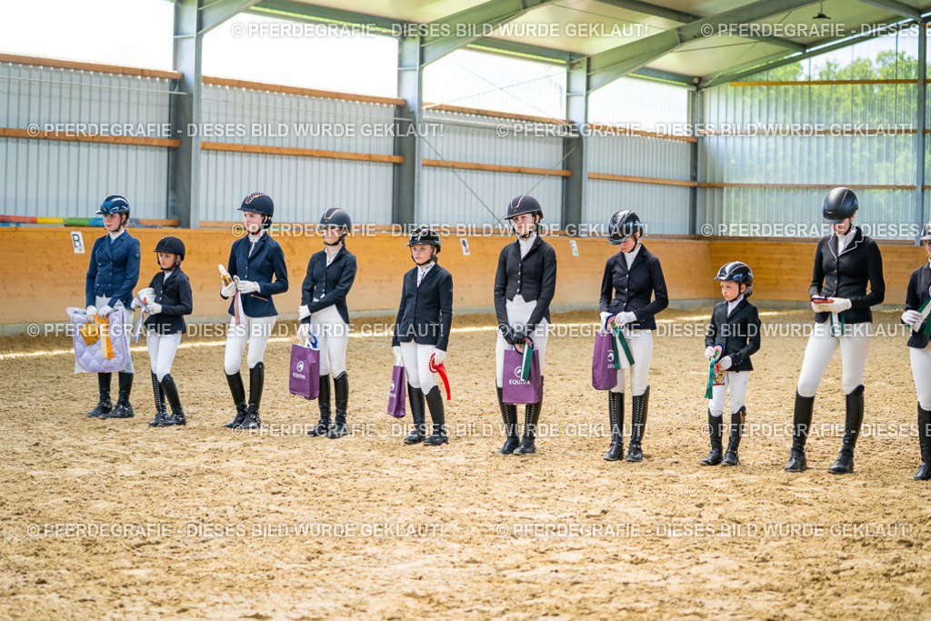 DSC09784 | Pferdegrafie