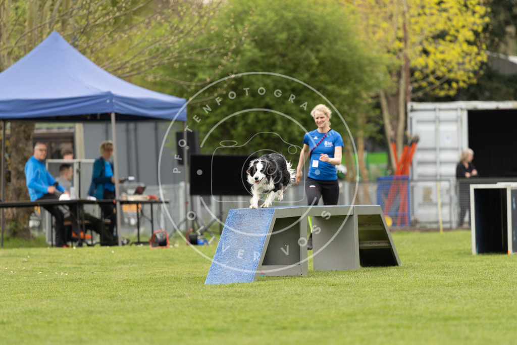 Pfotenfotografie_DV3A8796 | Hundefotografie, Tierfotograf, Pfotenfotografie, Fotoshooting Hund, Hunde Portrait, Hundesport, Hundeportraits, Heideshooting, Hunde, Sportfotograf, Hundefotograf, Turnierhundsport, THS,  - Realisiert mit Pictrs.com