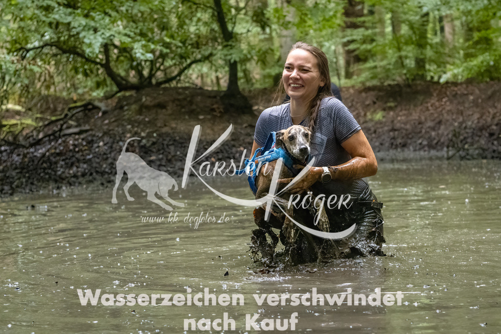 1118_ZZ90486-Bearbeitet-2 | kk-dogfotos