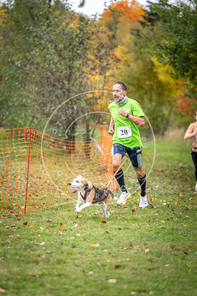 Pfotenfotografie_DV3A1872 | Hundefotografie, Tierfotograf, Pfotenfotografie, Fotoshooting Hund, Hunde Portrait, Hundesport, Hundeportraits, Heideshooting, Hunde, Sportfotograf, Hundefotograf, Turnierhundsport, THS,  - Realisiert mit Pictrs.com
