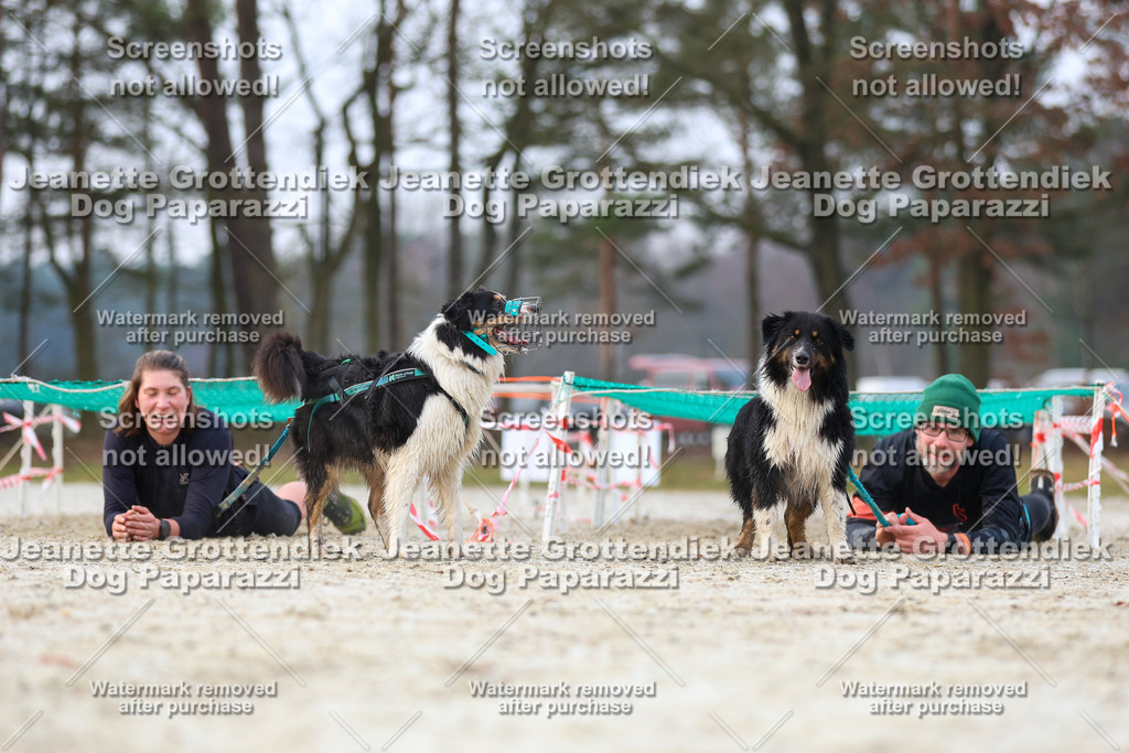 Dog Paparazzi - Strongdog North Mrz26-3720 | Dog Paparazzi Jeanette Grottendiek Fotografie & Videografie - Realisiert mit Pictrs.com