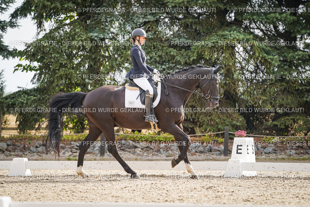 DSC00966 | Pferdegrafie