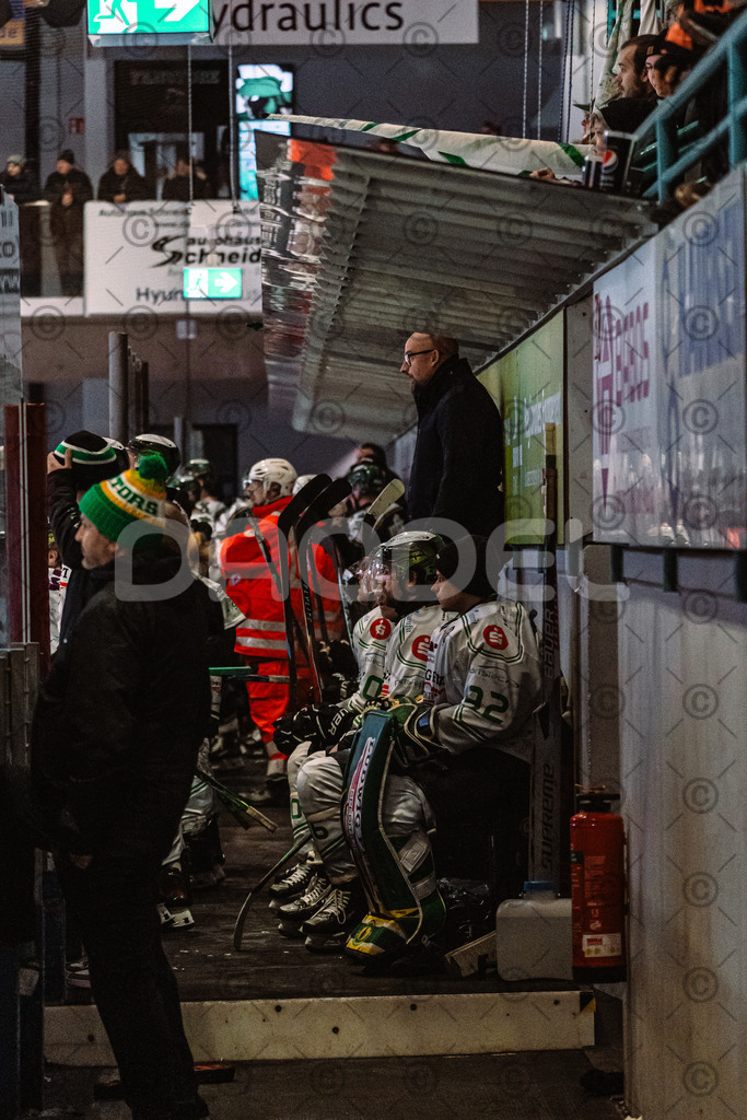 Erding_vs_Alligators_02_01_2026-69 | Höchstadt Alligators Fotogalerie: Eishockey-Action aus Franken. Professionelle Spielfotos, Portraits & Stadionbilder zum Download. Jetzt entdecken! - Realisiert mit Pictrs.com