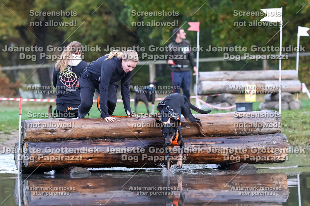 Dog Paparazzi - Strongdog 10-25-6569 | Dog Paparazzi Jeanette Grottendiek Fotografie & Videografie - Realisiert mit Pictrs.com