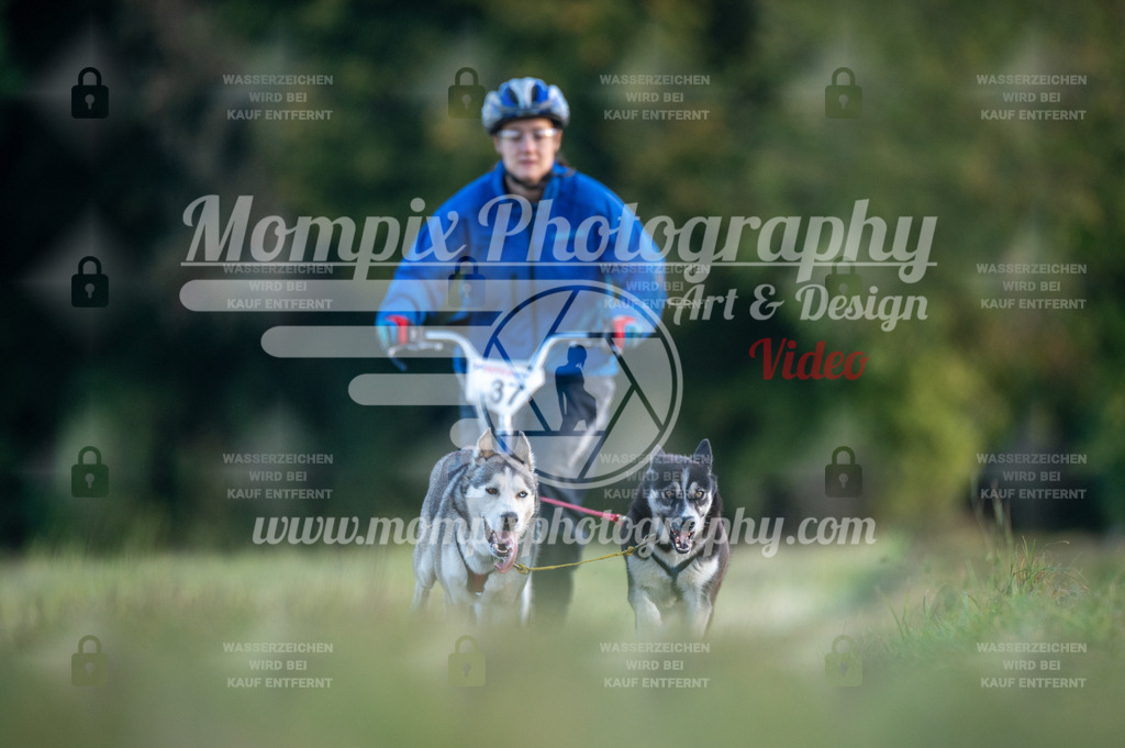 CDLBDB_15_10_2023_Dimanche-81 | PayLife