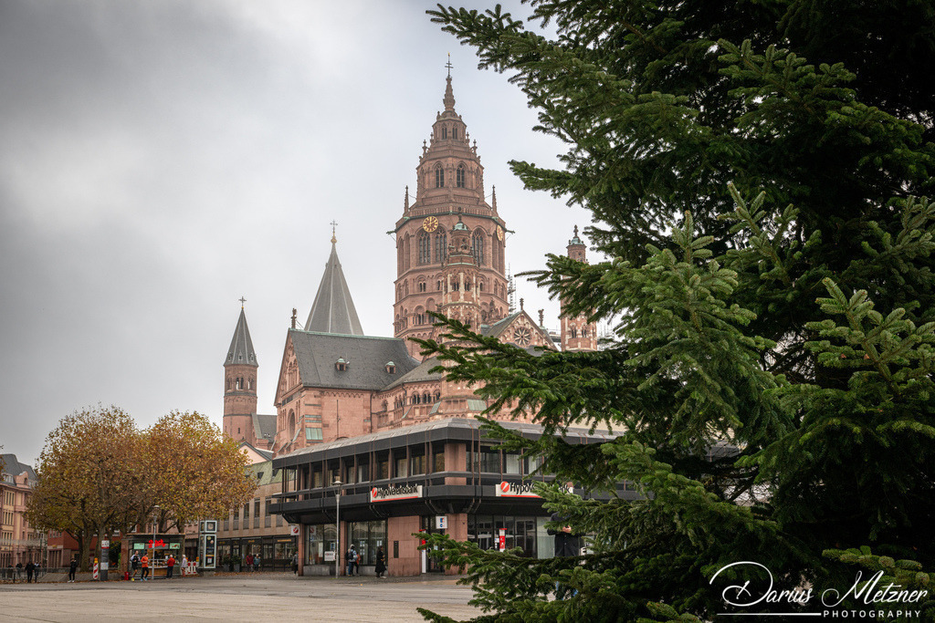 DSC_4247 | Fotografien, Fotos und Bilder aus Mainz, Frankfurt, Wiesbaden und anderen Orten auf der Welt - Fotografiert von Darius Metzner