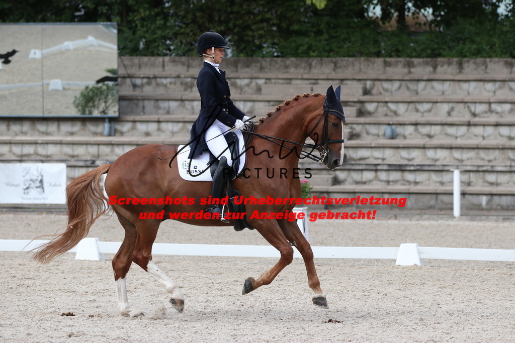 IMG_6446 | lmwpictures - Realisiert mit Pictrs.com