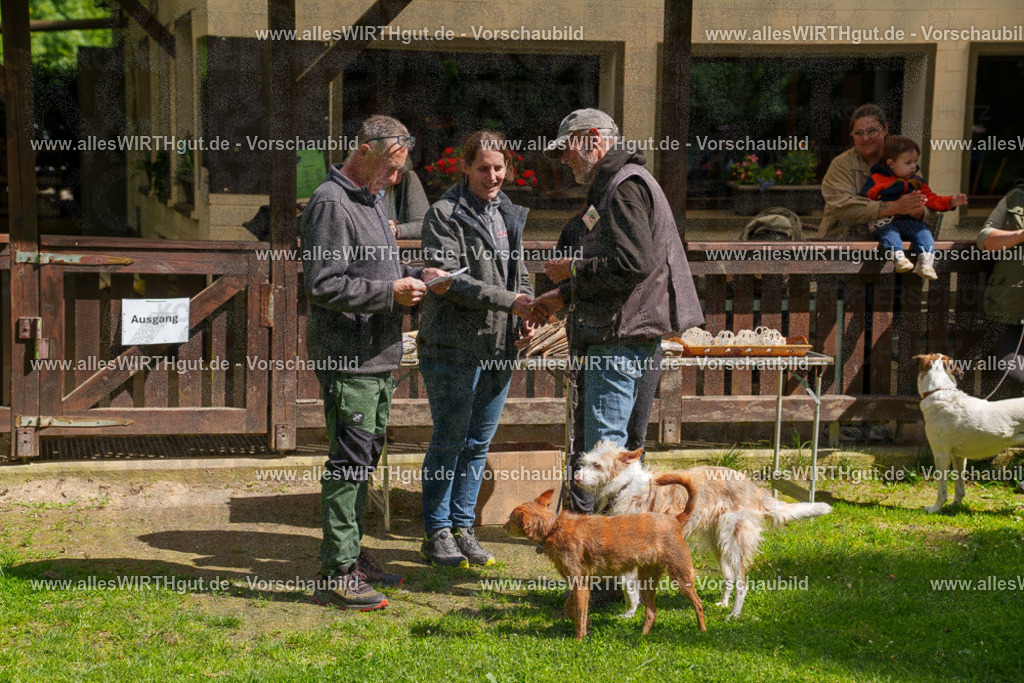 @allesWIRTHgut_Tierfotografie - www.allesWIRTHgut.de - 7R506086 | Professionelle Tierfotografie in Mönchengladbach von Daniel Wirth (allesWIRTHgut). Liebevolle & natürliche Bilder von Hunden & Katzen für unvergessliche Erinnerungen.