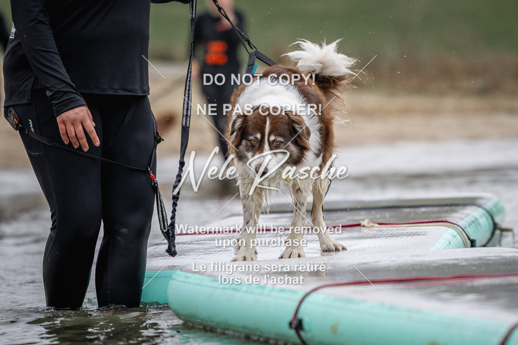 nelerasche_Hulsbeek_Sa1230-1330_555 | nelerasche